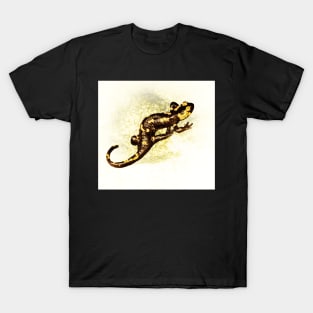 Fire salamander T-Shirt